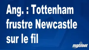 Ang. : Tottenham frustre Newcastle sur le fil