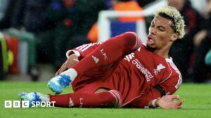 Hugo Ekitike absent jusqu’en 2027 après sa rupture du tendon d’Achille