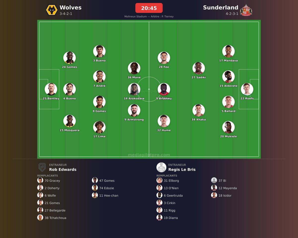 Wolves vs Sunderland